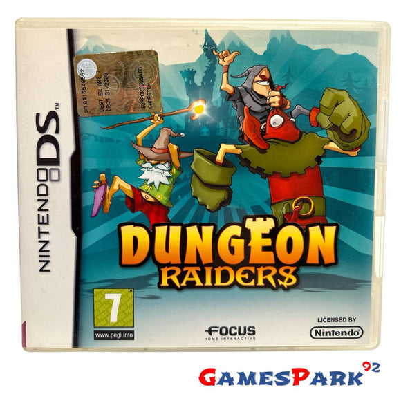 Dungeon Raiders DS NINTENDO USATO